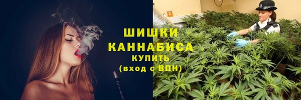 соль ск Абаза