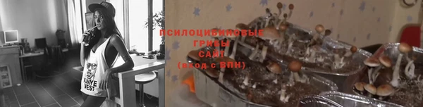 Альфа ПВП Алексин