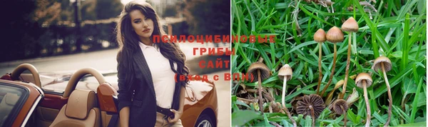 шишки Абинск