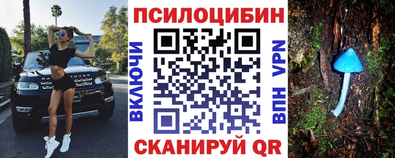 MEGA маркетплейс  Ачхой-Мартан  Псилоцибиновые грибы GOLDEN TEACHER 