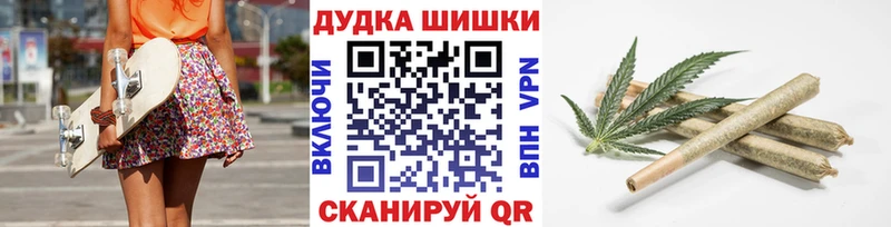 MEGA tor  Ачхой-Мартан  Конопля план 